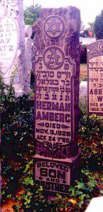 Herman Amberg