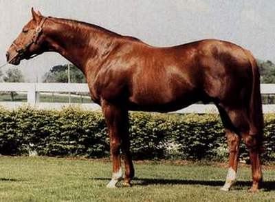 Alydar