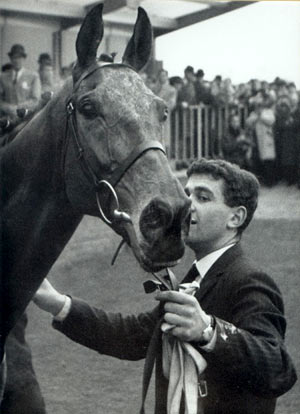 Arkle