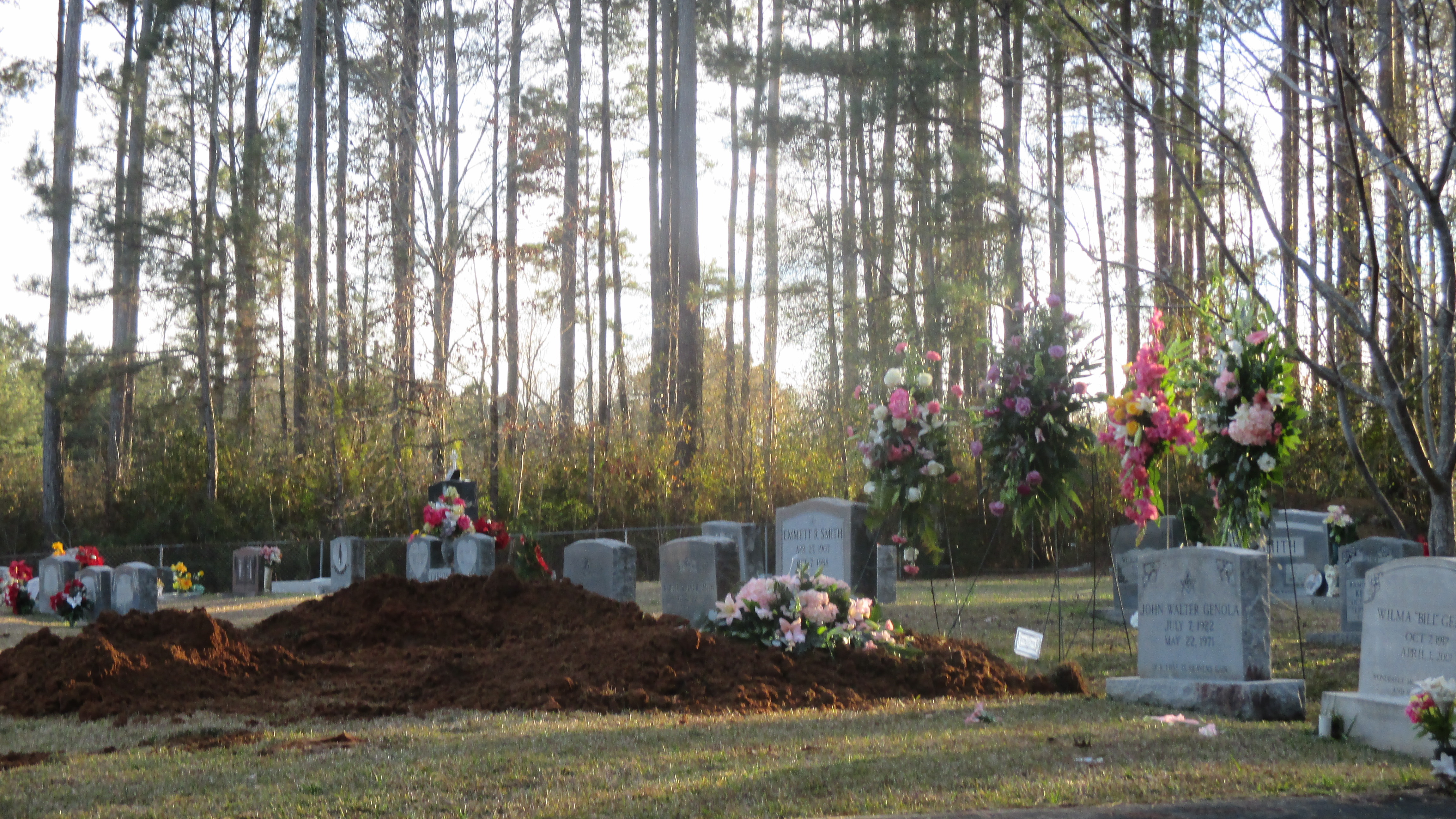 Donna Douglas grave - 