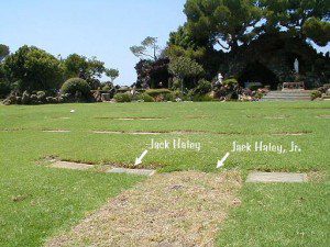 Jack Haley