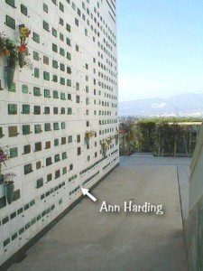 Ann Harding