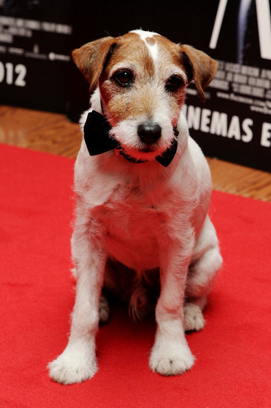 Uggie