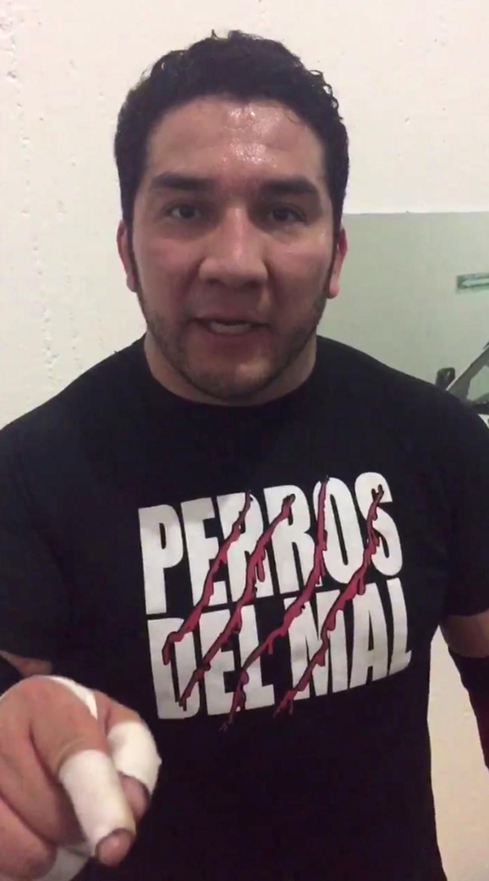 Perro Aguayo, Jr