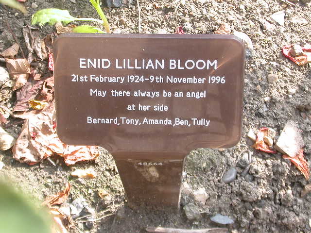 Enid Lillian Bloom