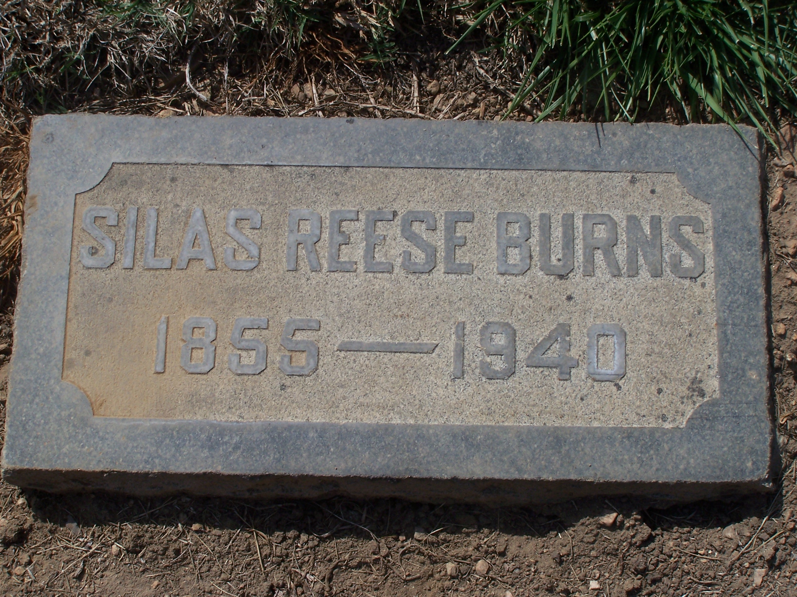 Silas Reese Burns