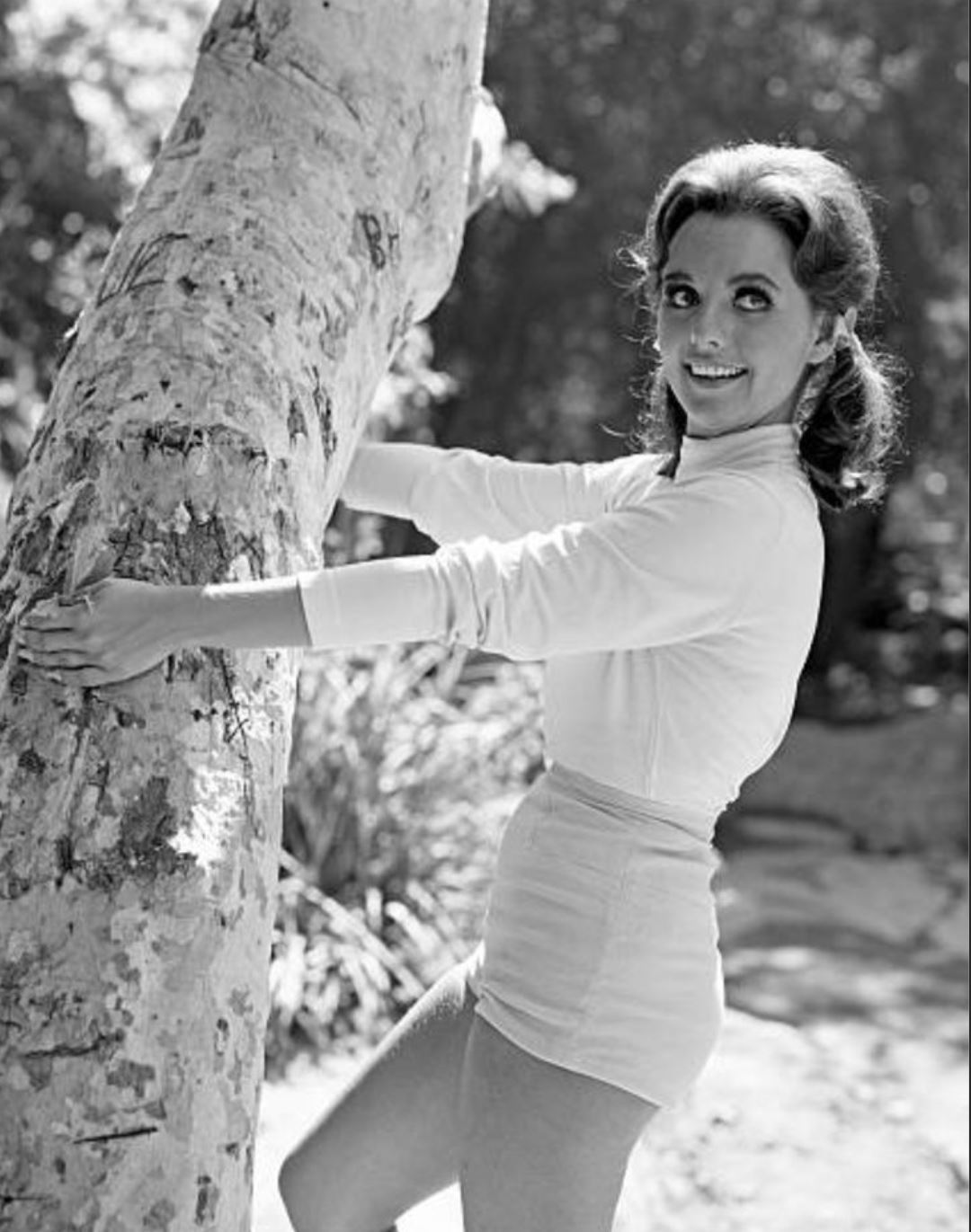 Dawn Wells