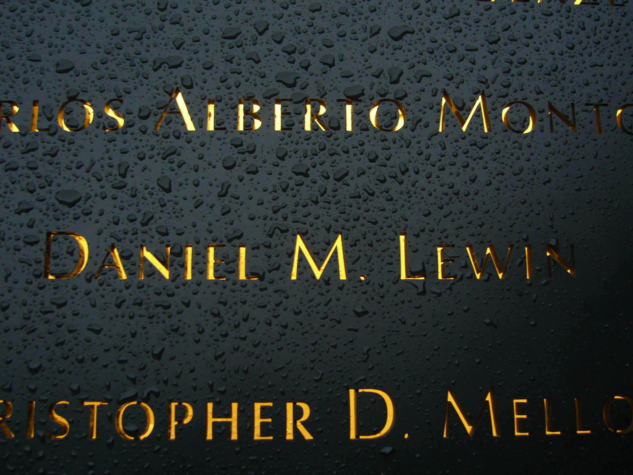 Daniel Lewin