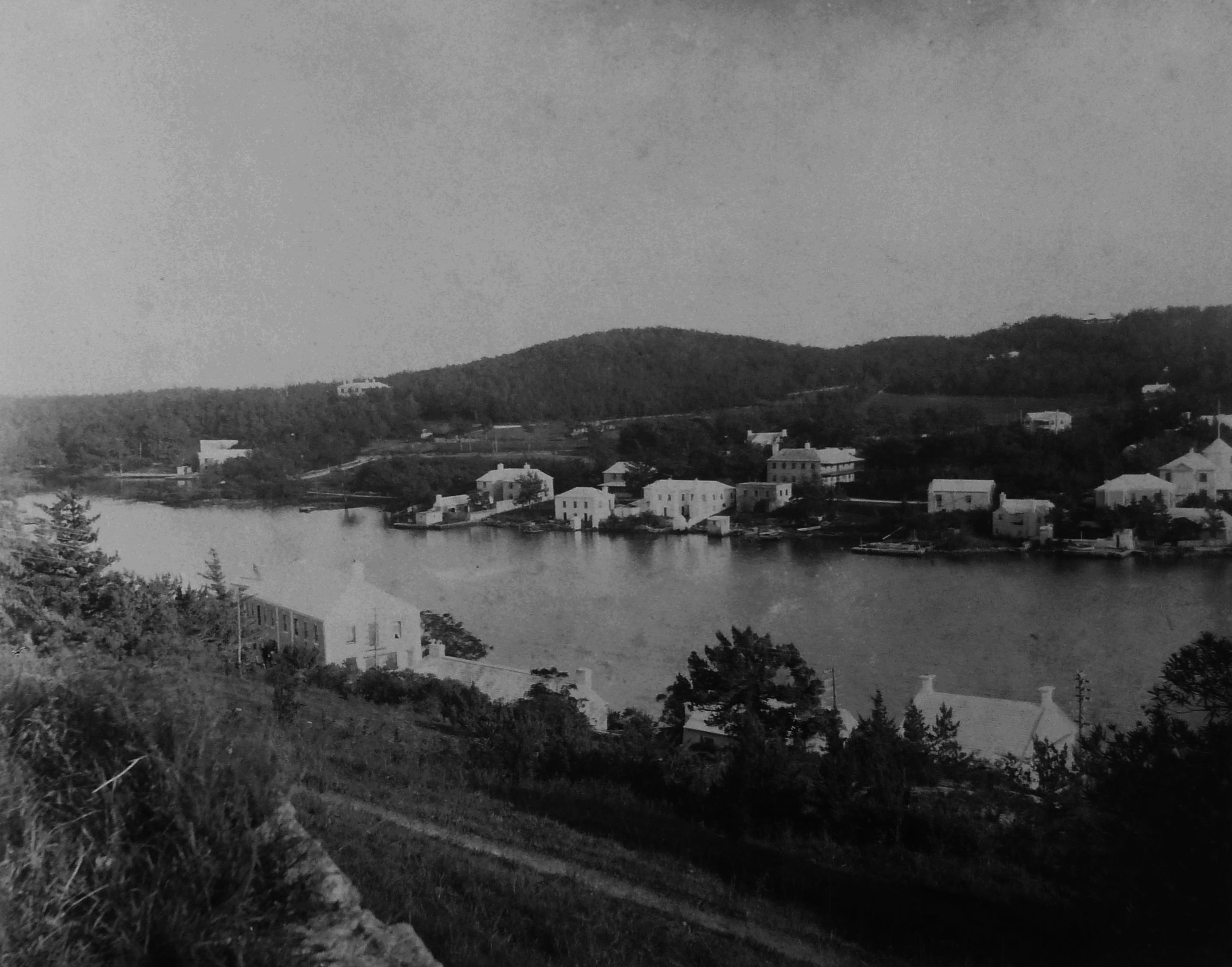 Hamilton Camp