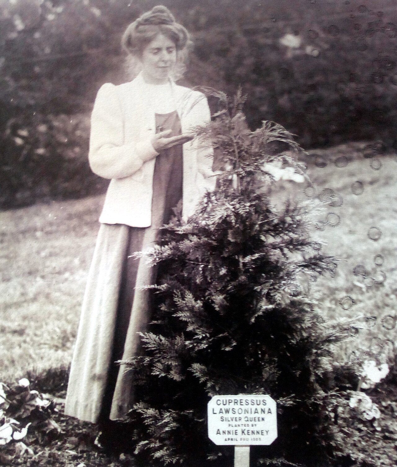 Annie Kenney
