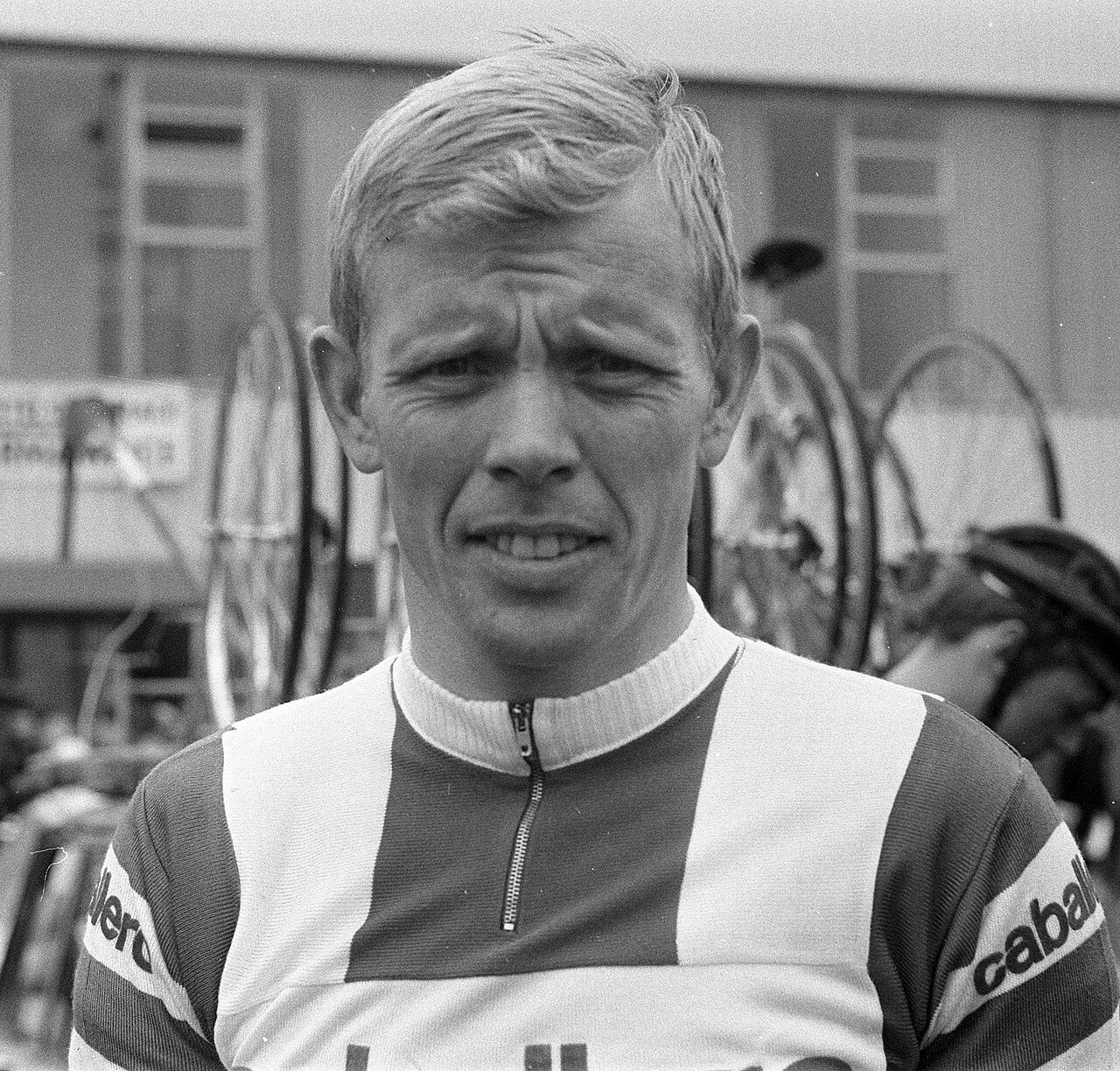 Arie den Hartog