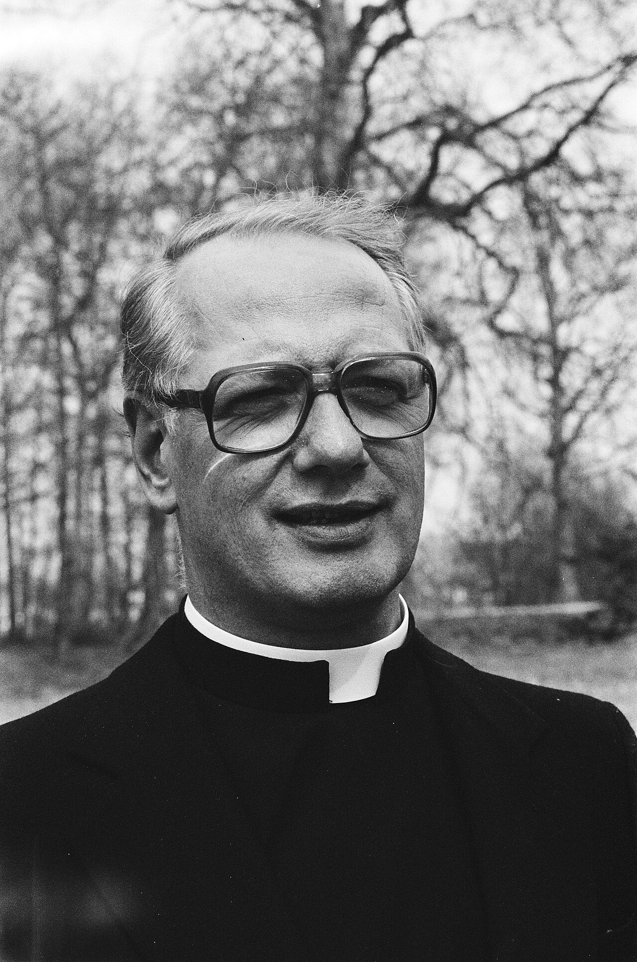 Adrianus Johannes Simonis