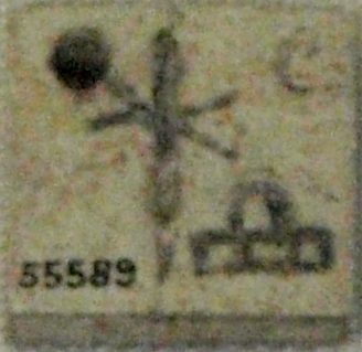 Neithotep