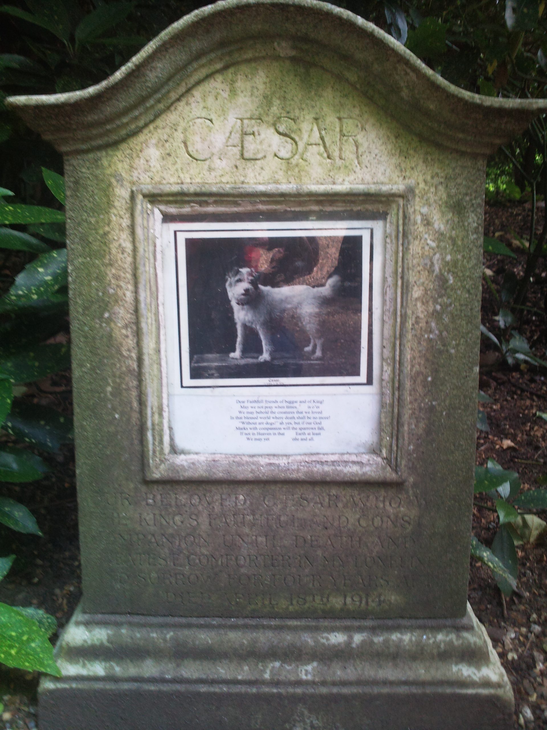 Edward VII