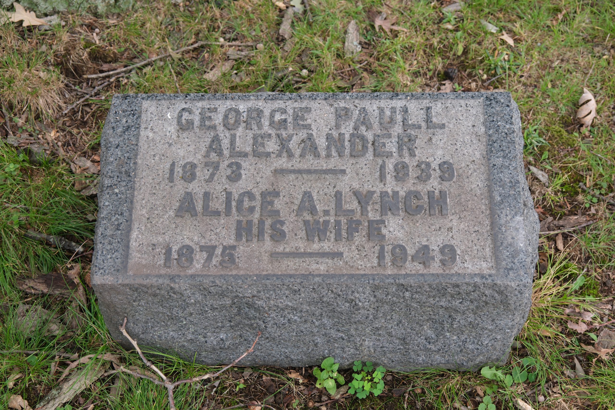 Paul Alexander