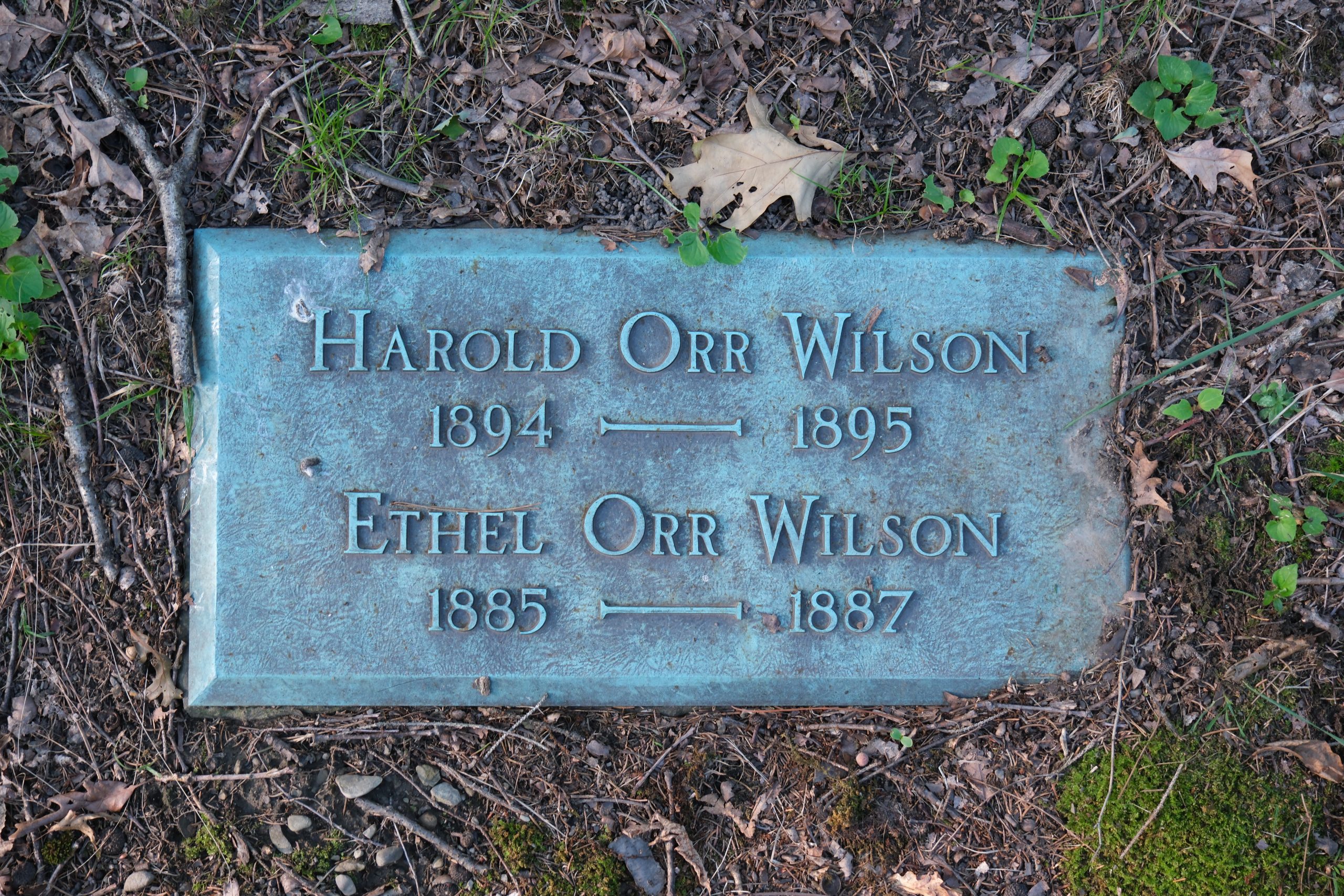 Harold Wilson