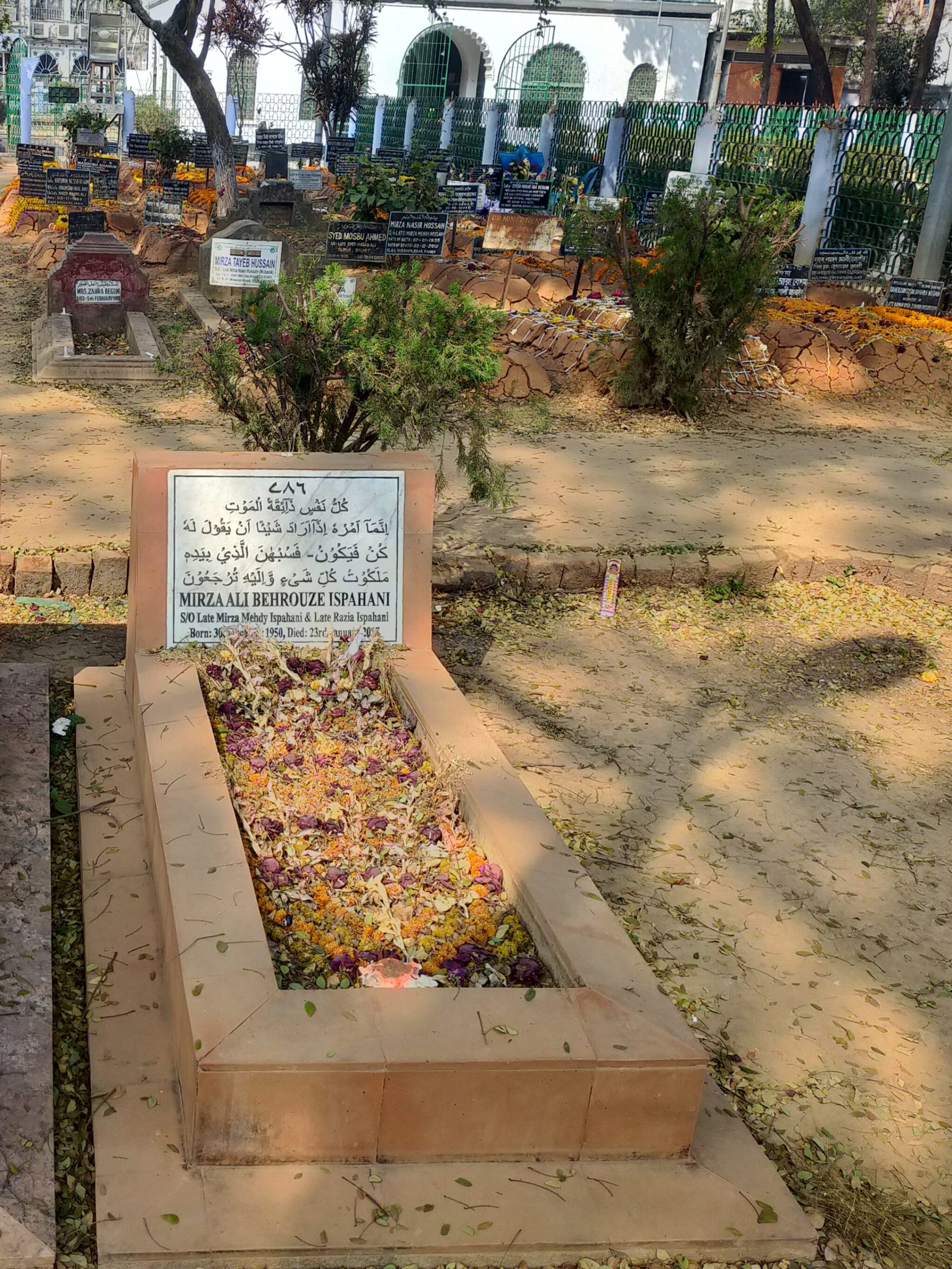 Salim Ali