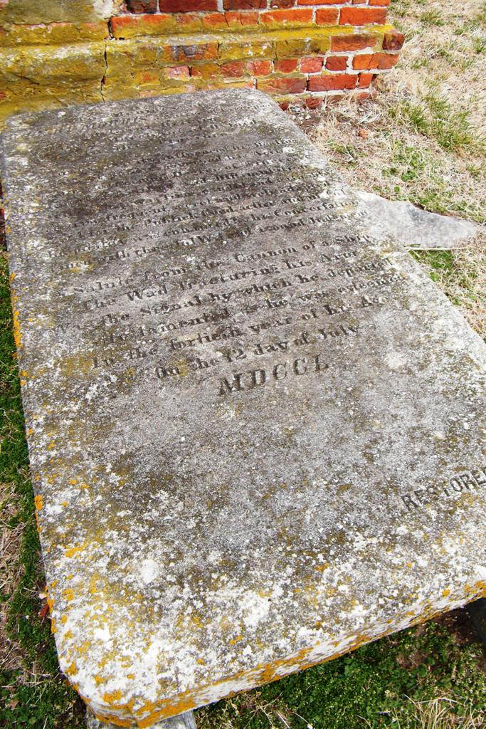 Robert Morris