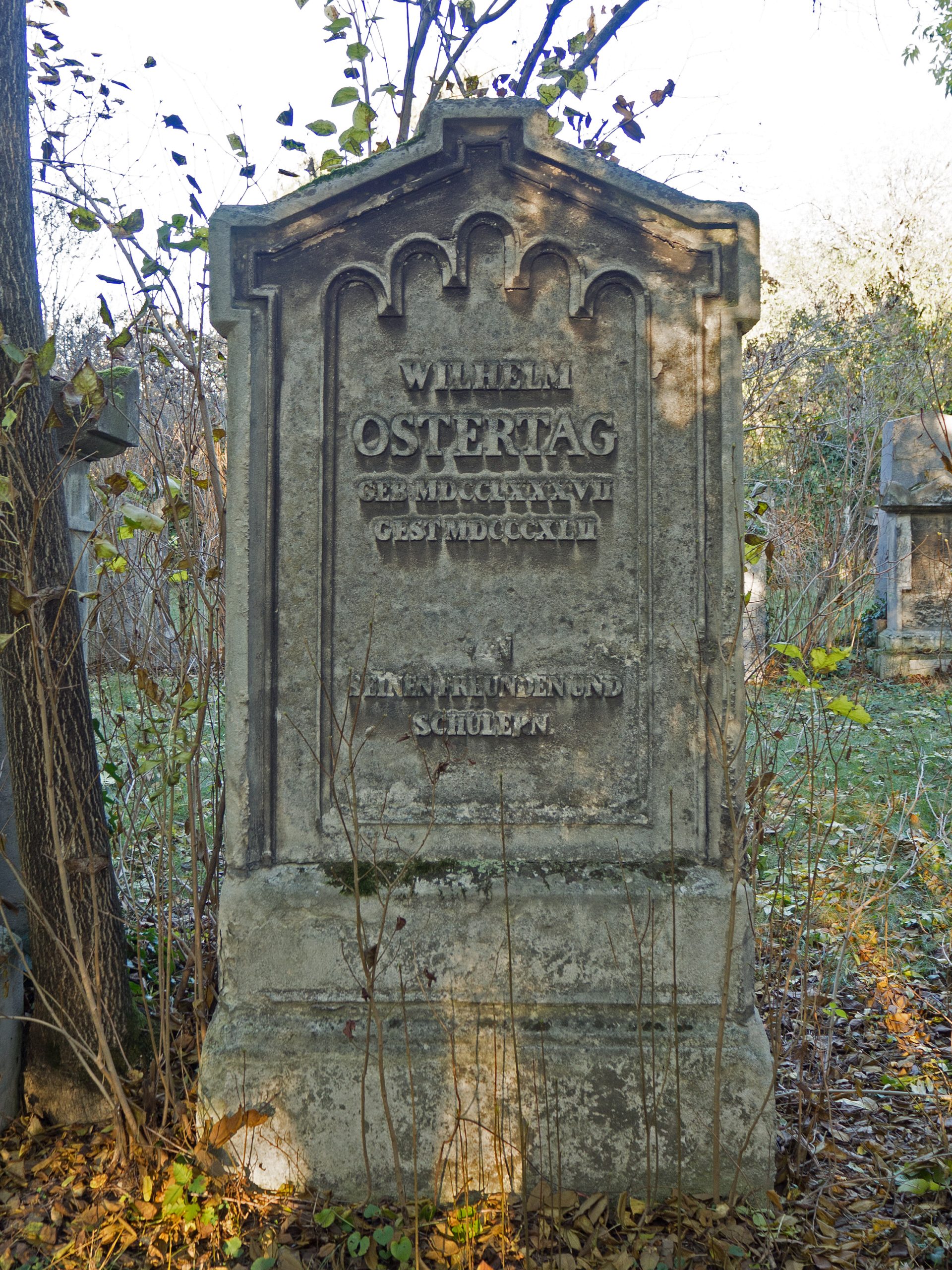 Wilhelm Marx