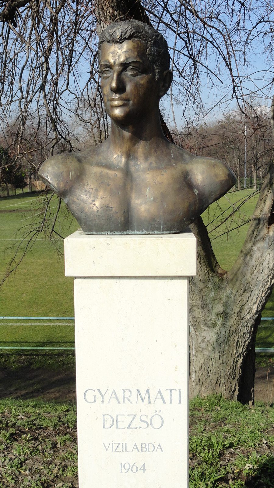 Dezső Gyarmati