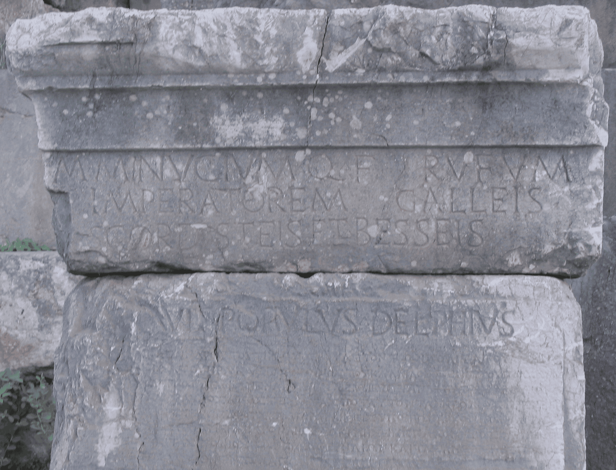 Marcus Minucius Rufus
