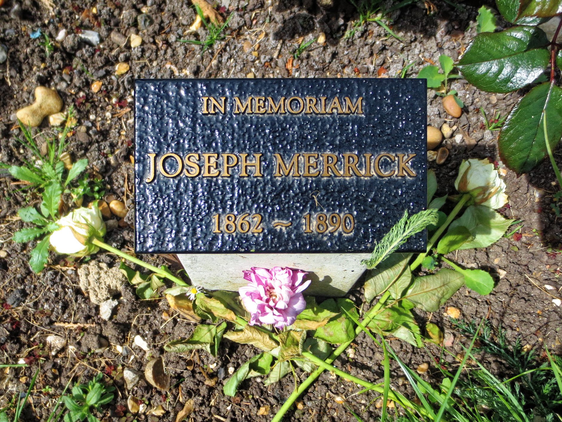 Joseph Merrick