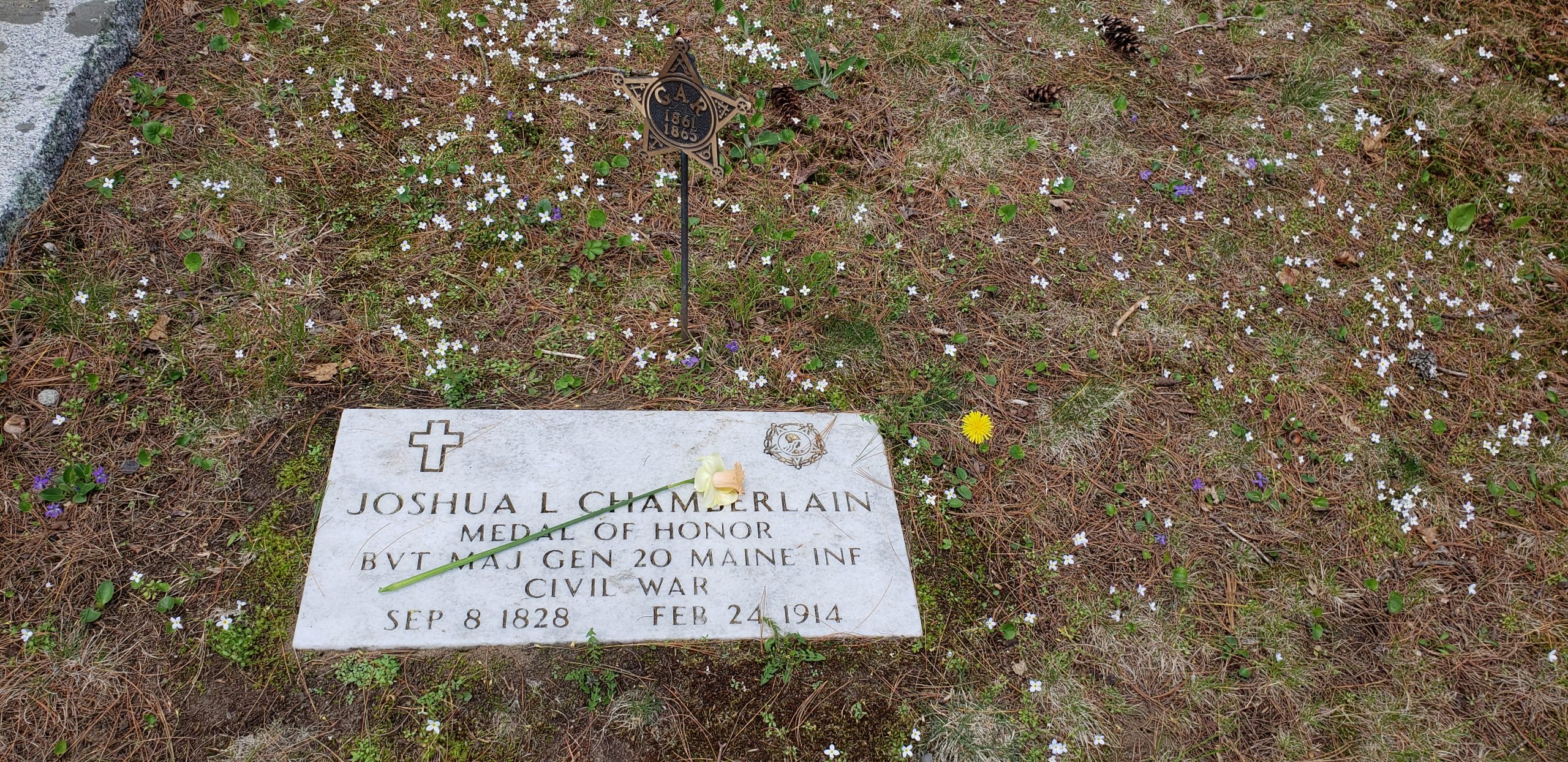 Joshua Lawrence Chamberlain