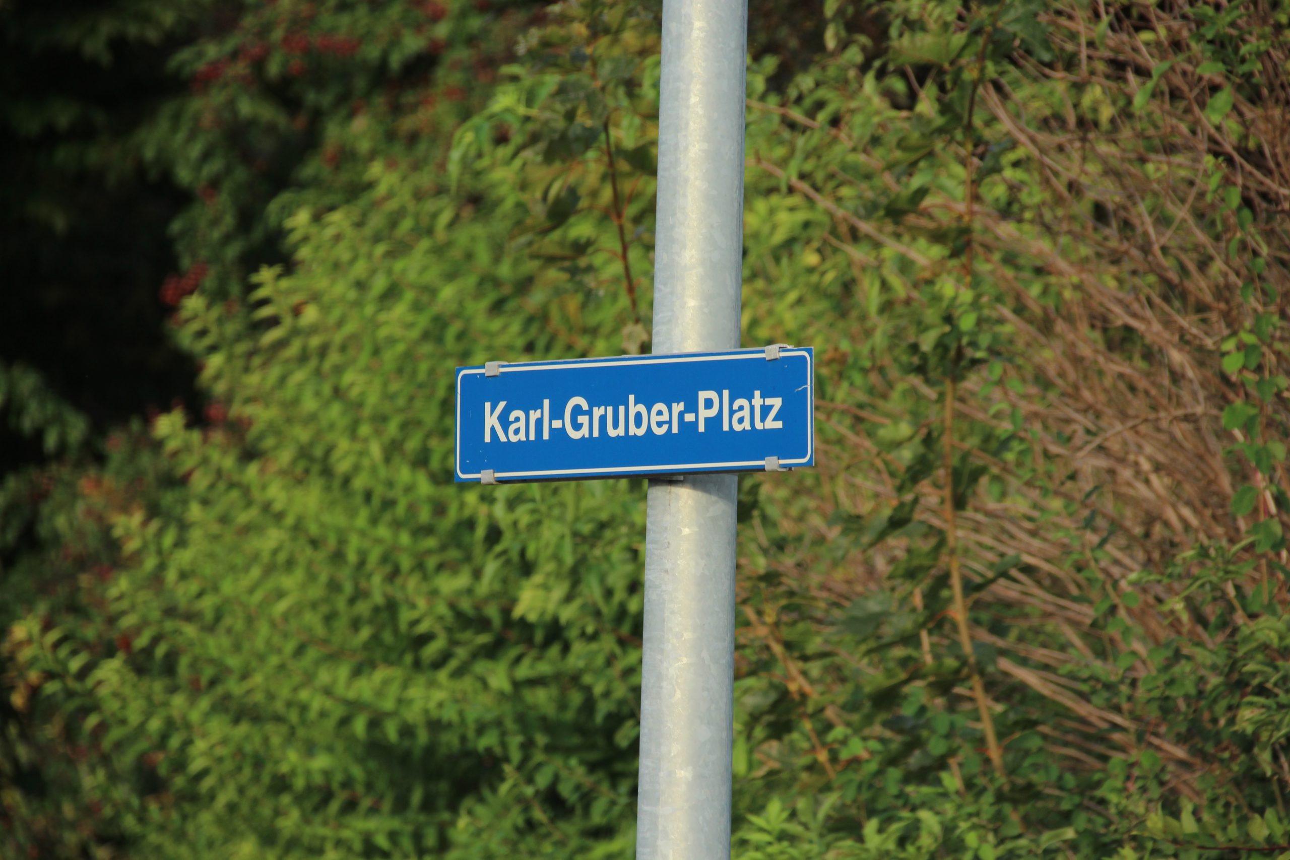 Karl Gruber