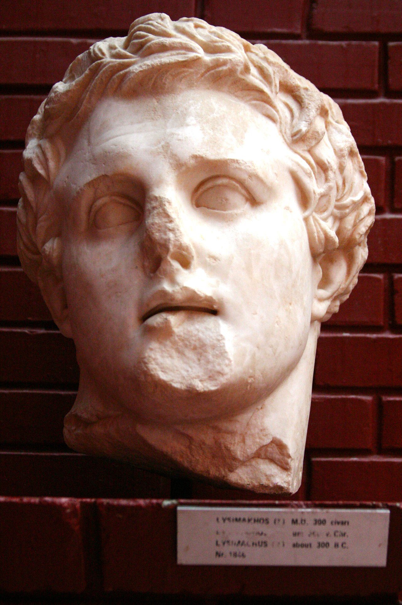 Lysimachus