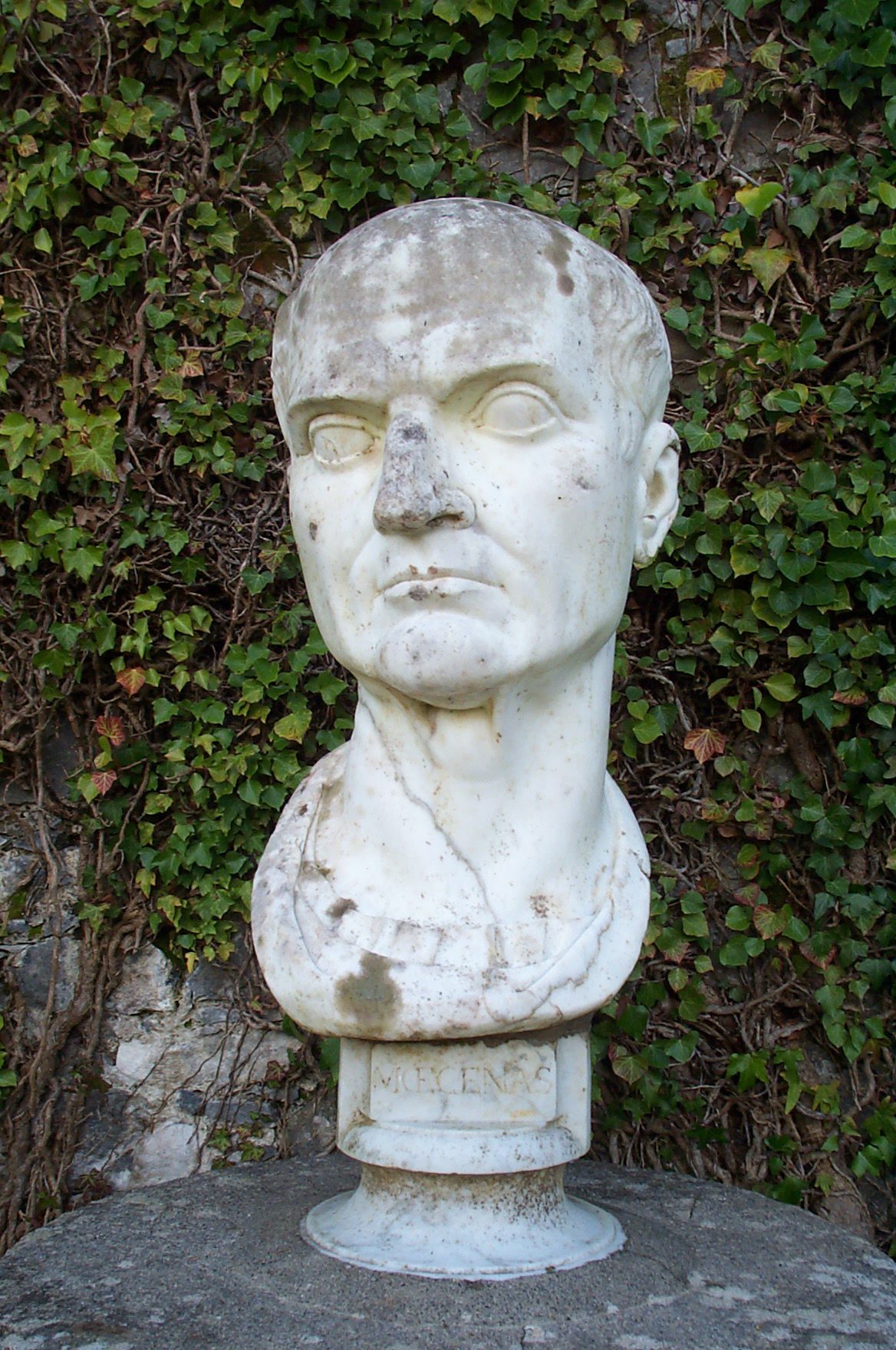 Gaius Maecenas