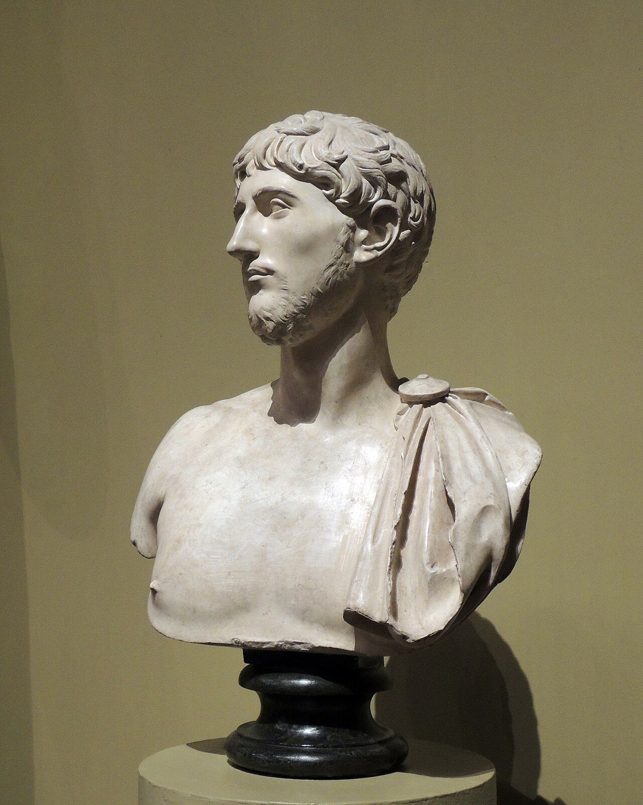 Lepidus