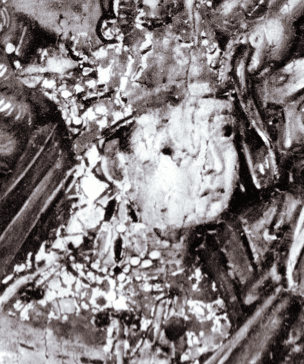 Maria Angelina Doukaina Palaiologina