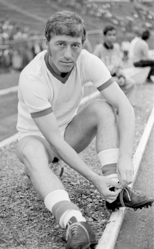 Nicolae Dobrin