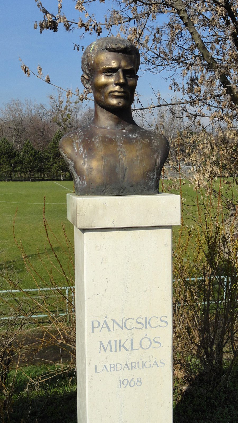 Miklós Páncsics
