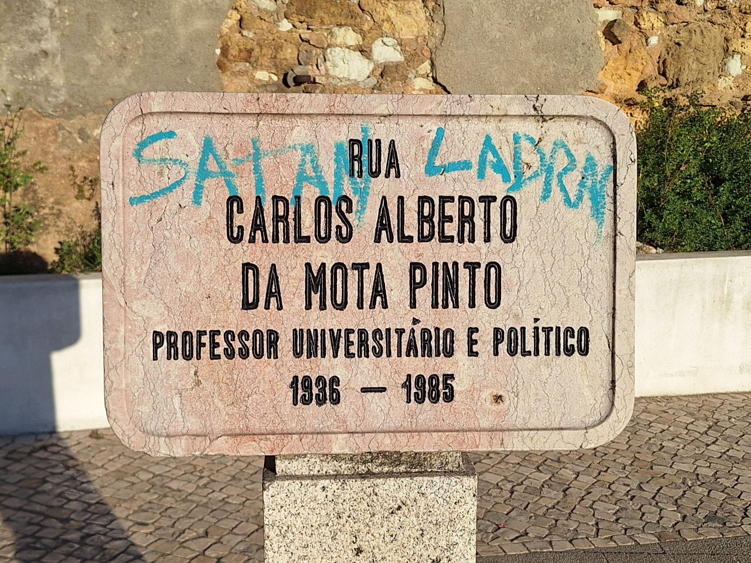 Carlos Mota Pinto