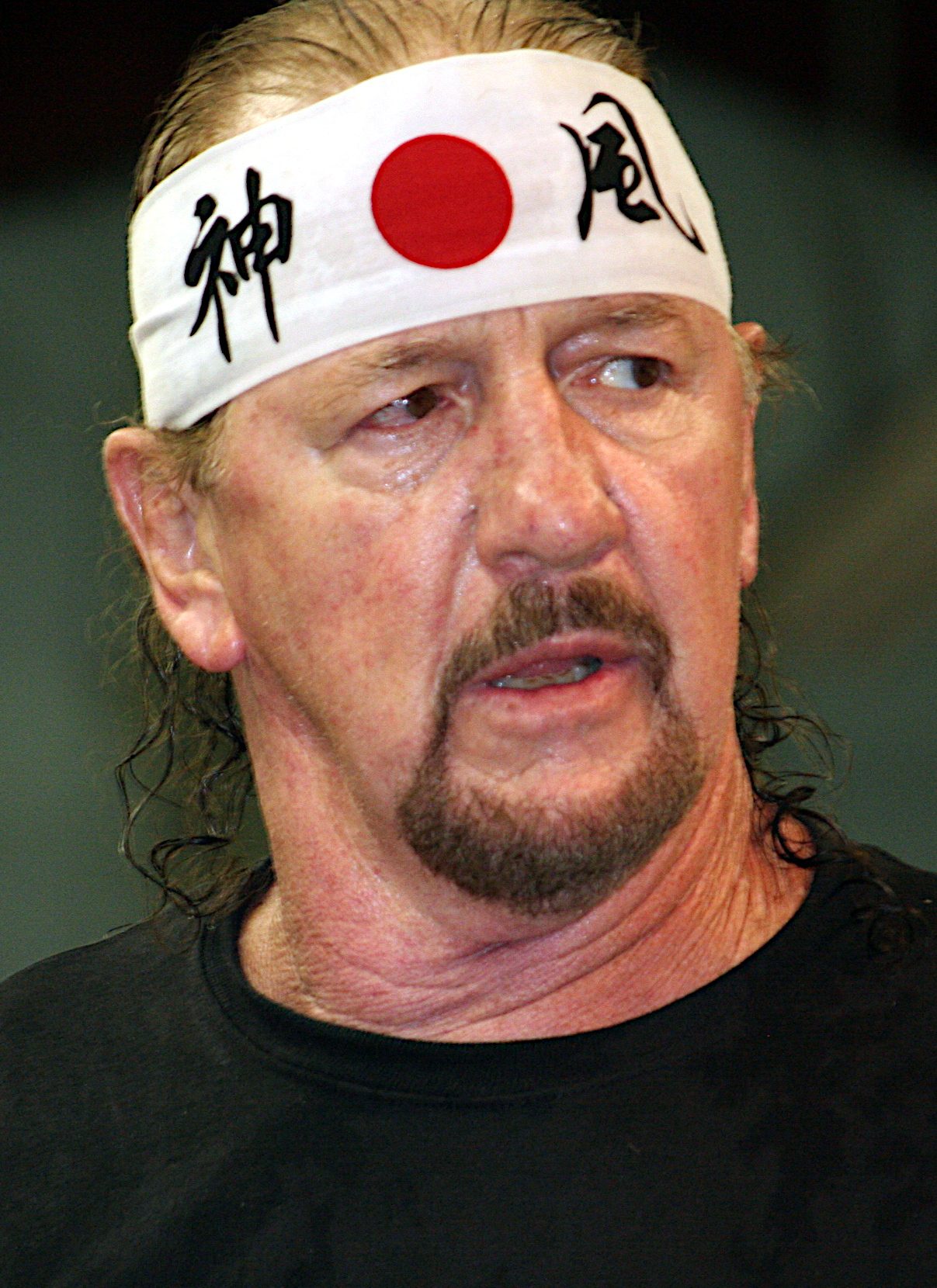 Terry Funk