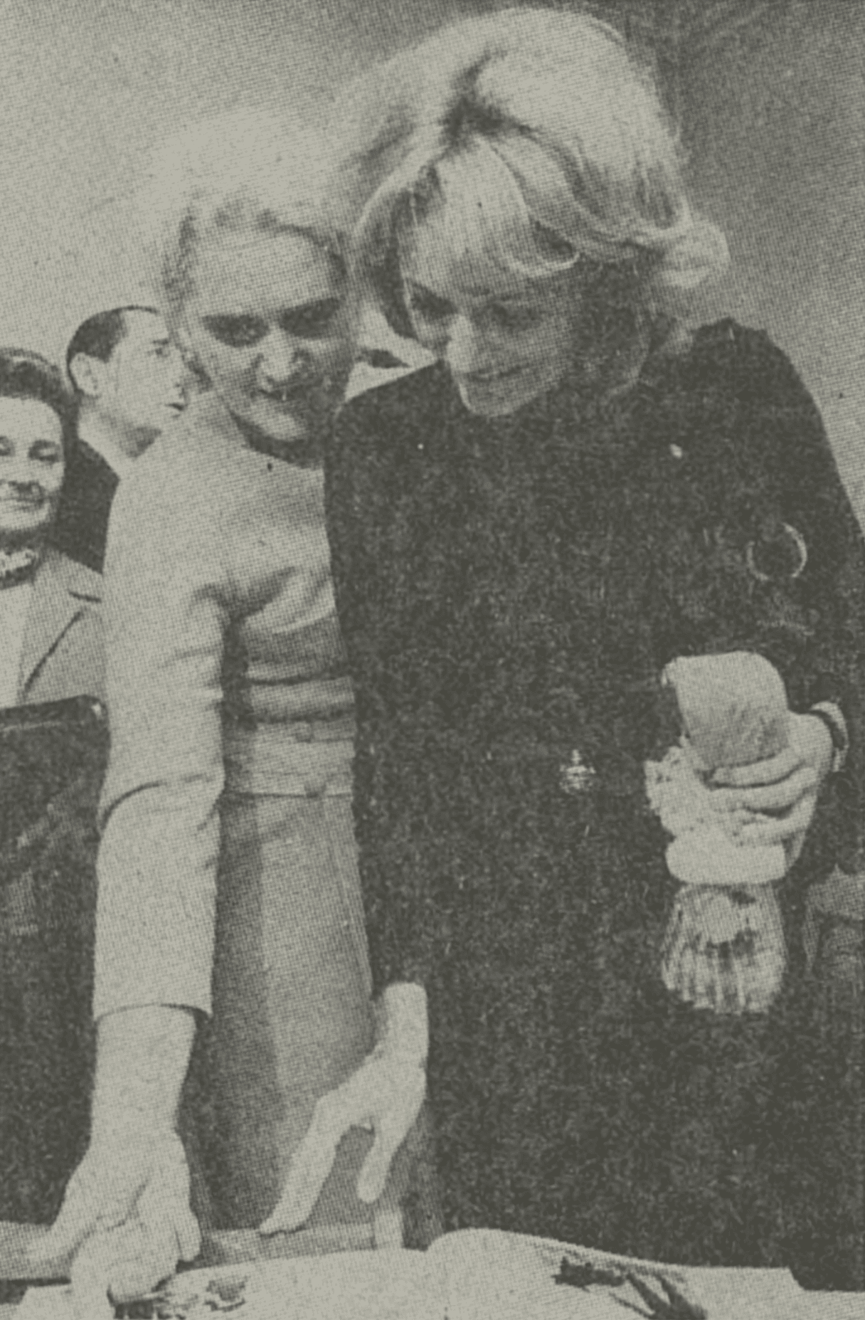 Vesna Vulović