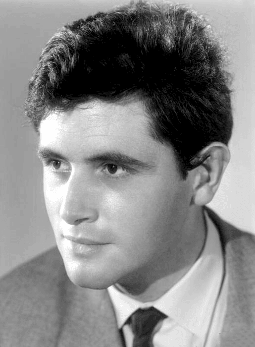 Victor Lanoux