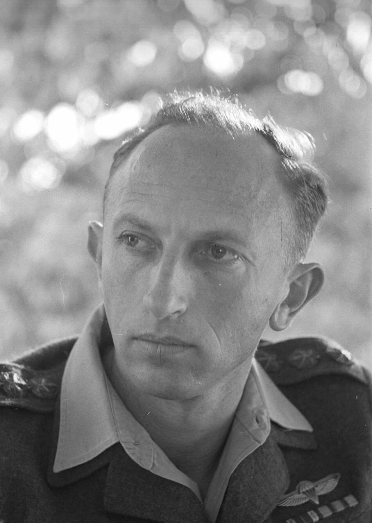 Zvi Zamir